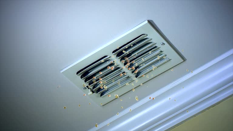Best Ductwork Cleaning Services  in Califon, NJ